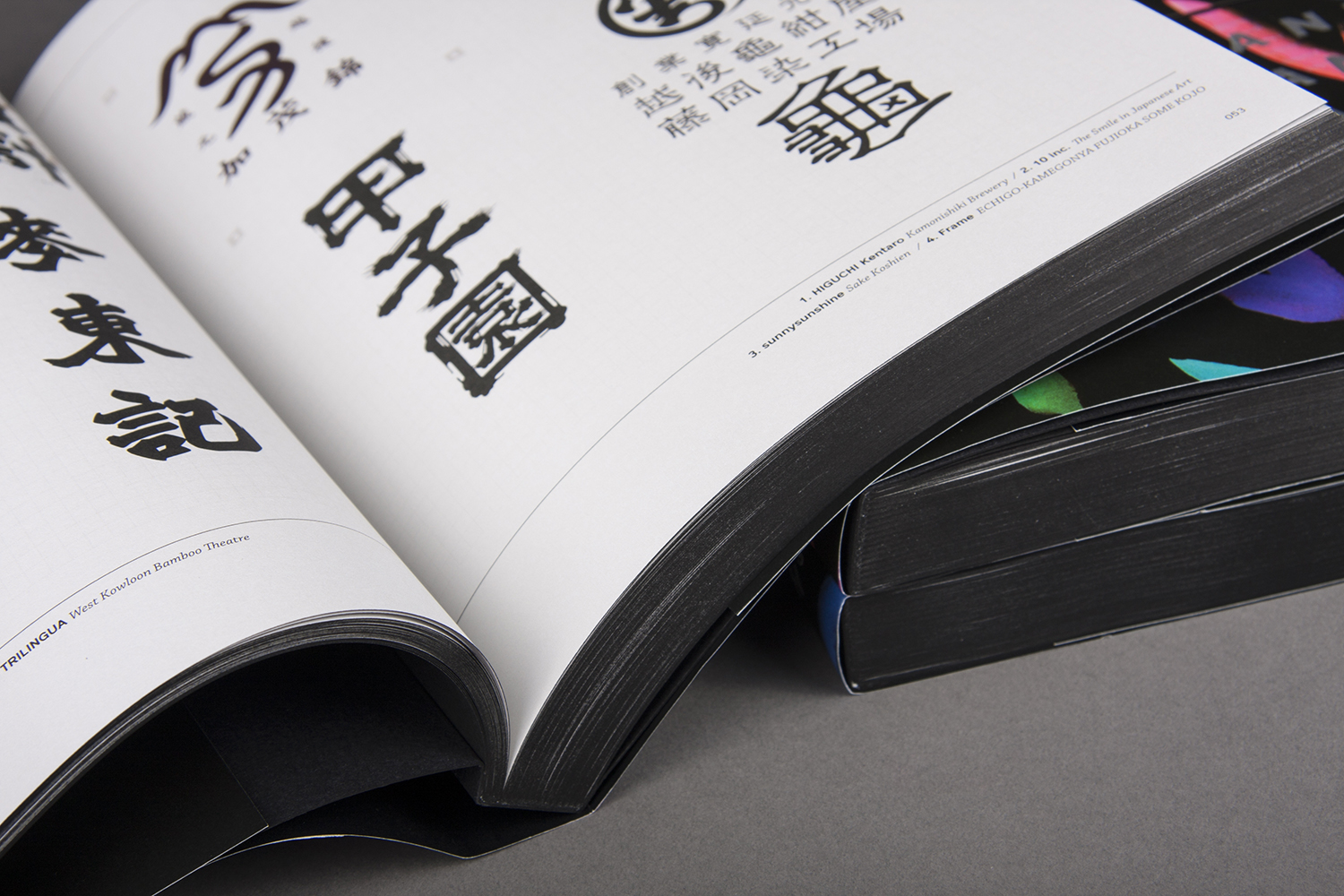 Hanzi- Hanja- Kanji: New Typography with Chinese Characters