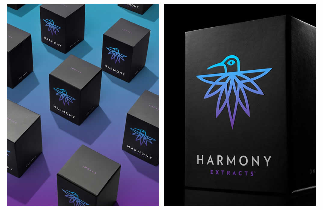Harmony Extracts Brand Identity Spotlight