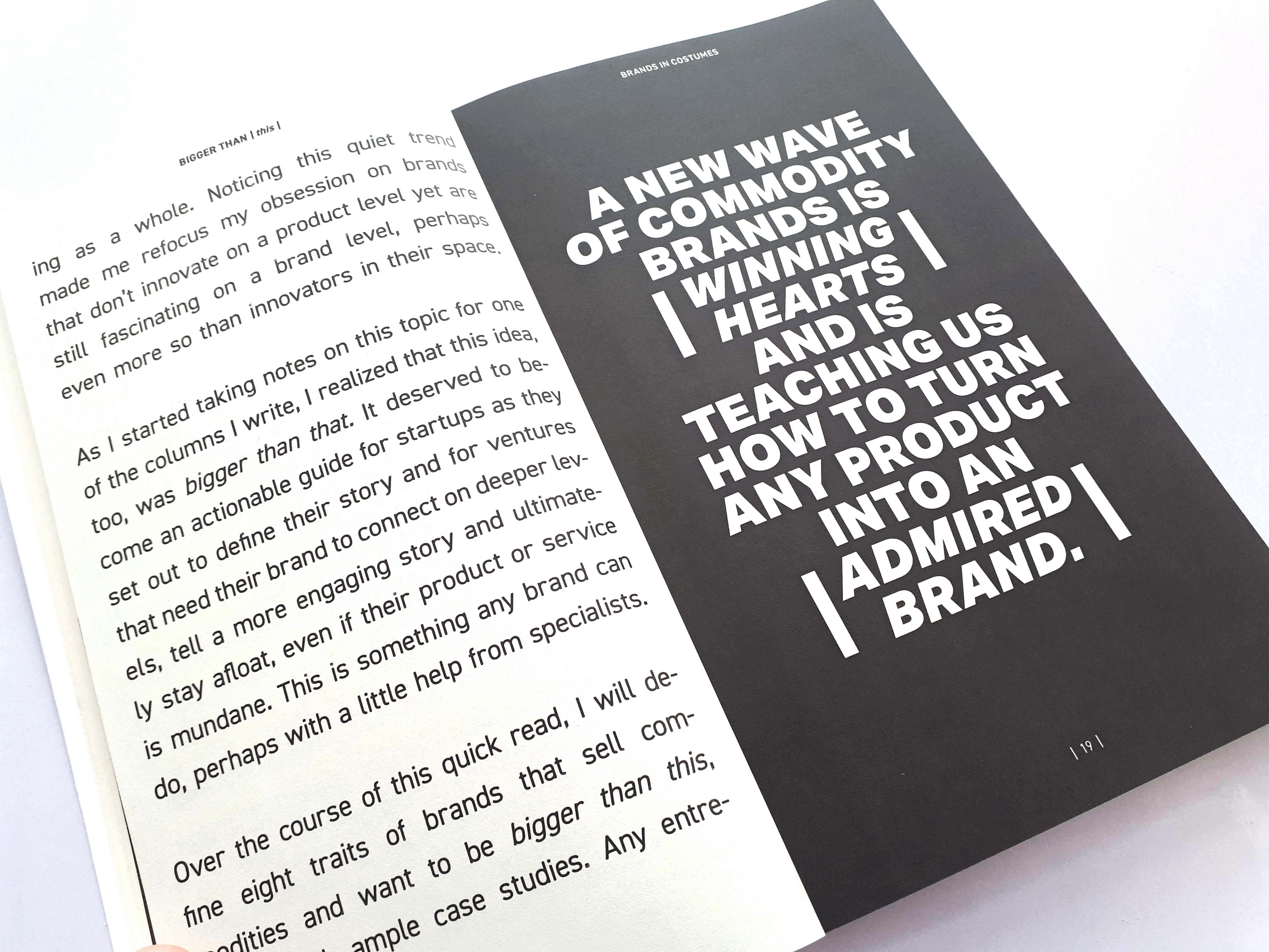 Bigger Than This: How to Turn Any Venture Into an Admired Brand by Fabian Geyrhalter