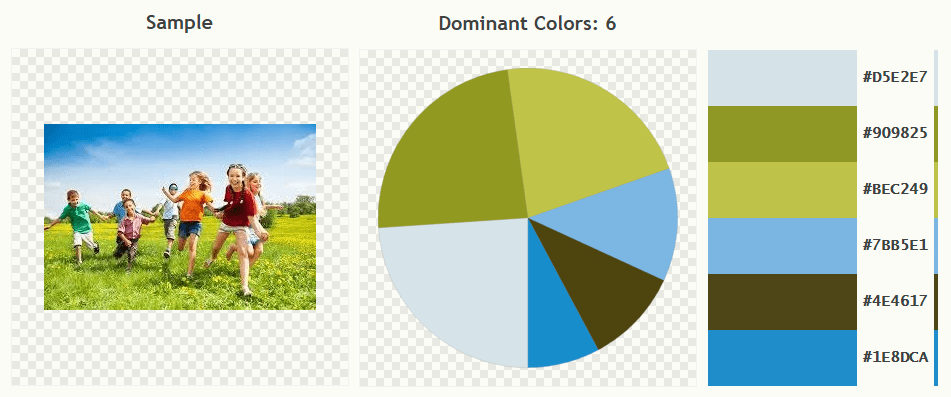 5 Surprising Web Design Tricks to Maximize Your Conversions - Dominant Colours-min