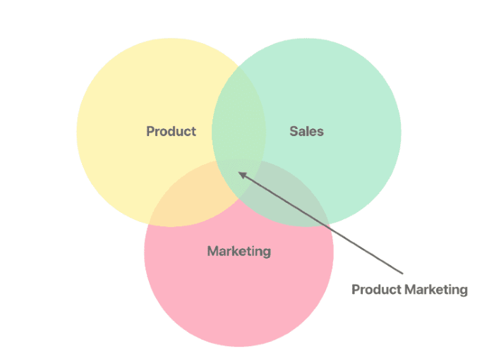 Service Marketing vs. Product Marketing: Here’s the Difference