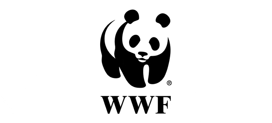 Famous 80s Logos - WWF Logo Design