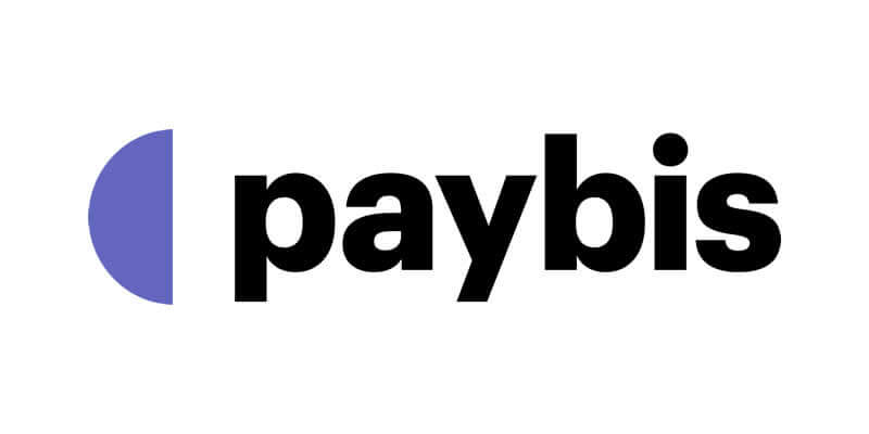 Paybis Logo Design